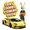 BunnyVerse 7