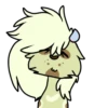 Basic Raccoon 12