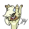 Basic Raccoon 13