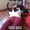 foto pija
foto pija