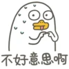 Duck 13