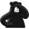 BlackBearKofi 7