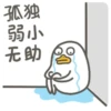 Duck 14