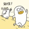 Duck 15