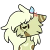 Basic Raccoon 16