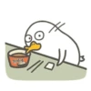 Duck 16