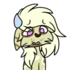 Basic Raccoon 18