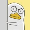 Duck 17
