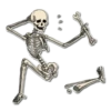 Skeleton Bob / By OsmerOmar 20