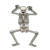Skeleton Bob / By OsmerOmar 21