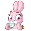 Bunny Rosy 14