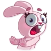 Bunny Rosy 15