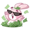 Bunny Rosy 16