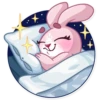Bunny Rosy 17