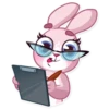 Bunny Rosy 18