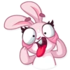 Bunny Rosy 19