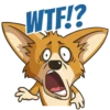 WTF!?