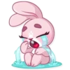 Bunny Rosy 20