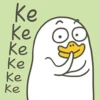 Duck 19