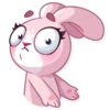 Bunny Rosy 23
