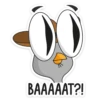suspiciousowl 19