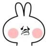 Ati's Spoiled Rabbit 24
