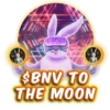 BunnyVerse 13