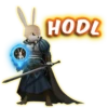 BunnyVerse 14