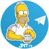 The Simpsons 17