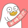 Duck 24