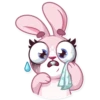 Bunny Rosy 25