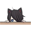 Black Kitten 24
