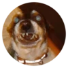 Stupid Dogs 27