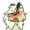 Basic Raccoon 22