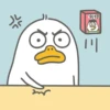 Duck 26