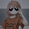 Humano Perfeito