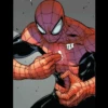 Spiderman Better 24