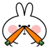 Spoiled Rabbit 28