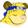 MonkeyBear 26