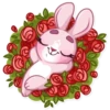 Bunny Rosy 29