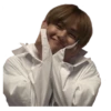 bts memes 30