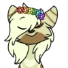 Basic Raccoon 27