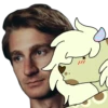 Basic Raccoon 28