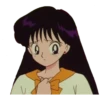 Sailor Moon 5