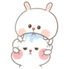 Puffy Bear and Rabbit PUDEL 5