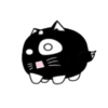 Lovely black cat 5
