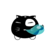 Lovely black cat 6
