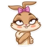 Bunny 8
