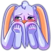 BunnyToby 6