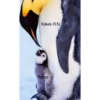 Athéna's Pinguin 6